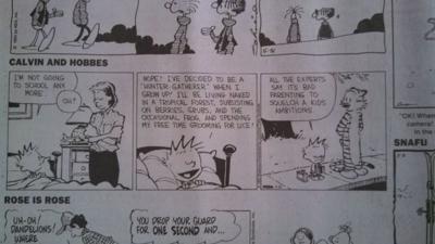 calvin1993.jpg